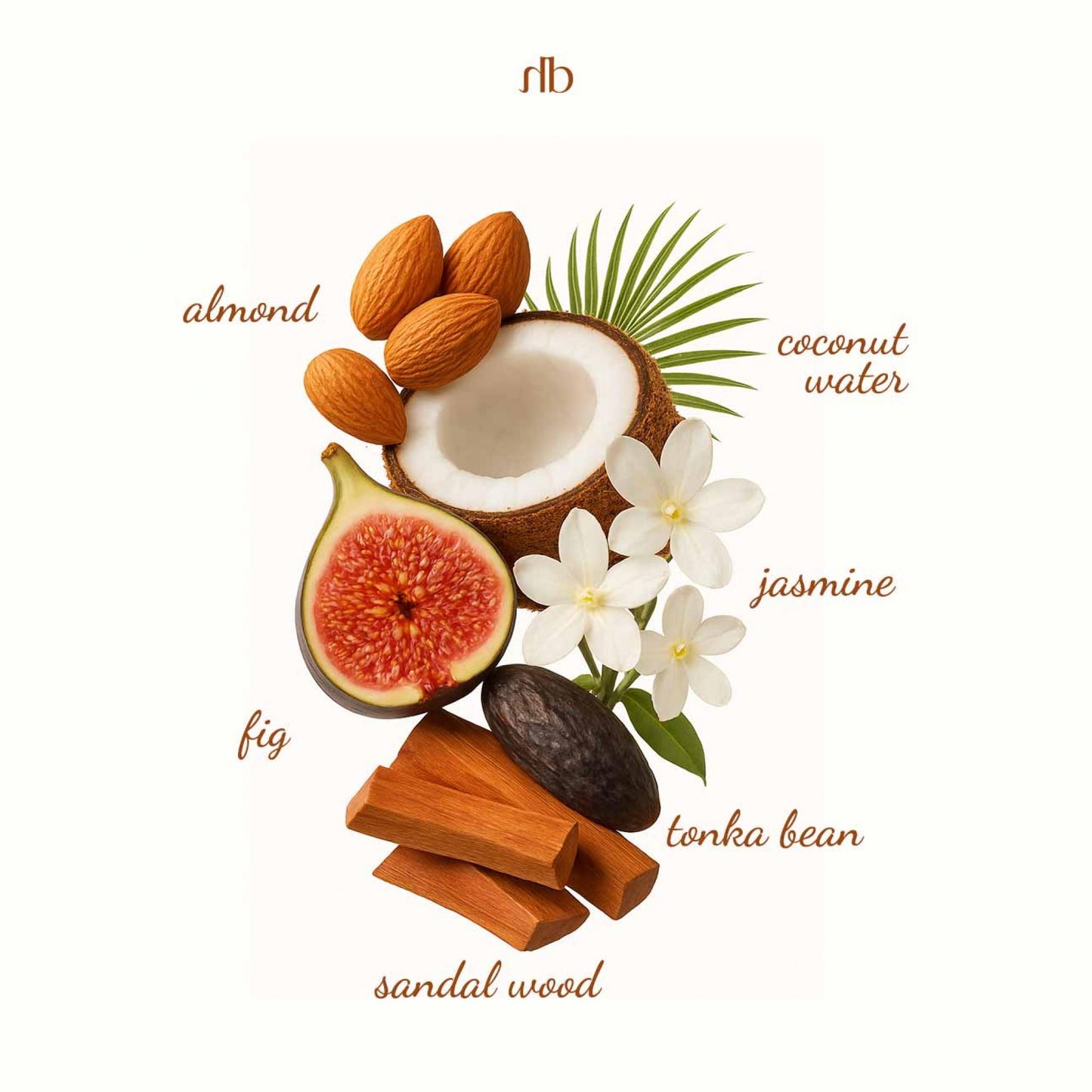 Halbea 250 – Unisex Parfum Elixier (35 ml)