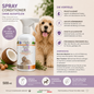 SPRAY Conditioner ohne Ausspülen 500 ml