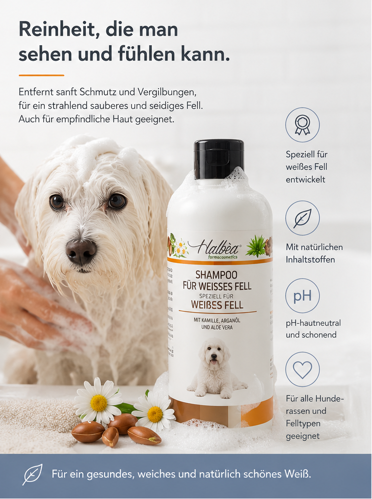 Hundeshampoo – Speziell für weißes Fell ✨🐾