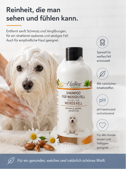 Hundeshampoo – Speziell für weißes Fell ✨🐾