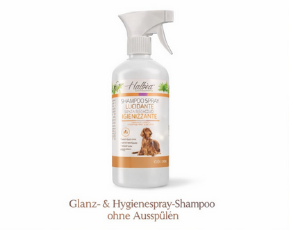 🐶 Glanz- & Hygienespray für Hunde – ohne Ausspülen Frische Pflege in Sekunden – überall & jederzeit